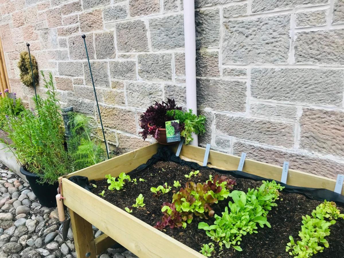 Brylach Steading Aberlour Extérieur photo